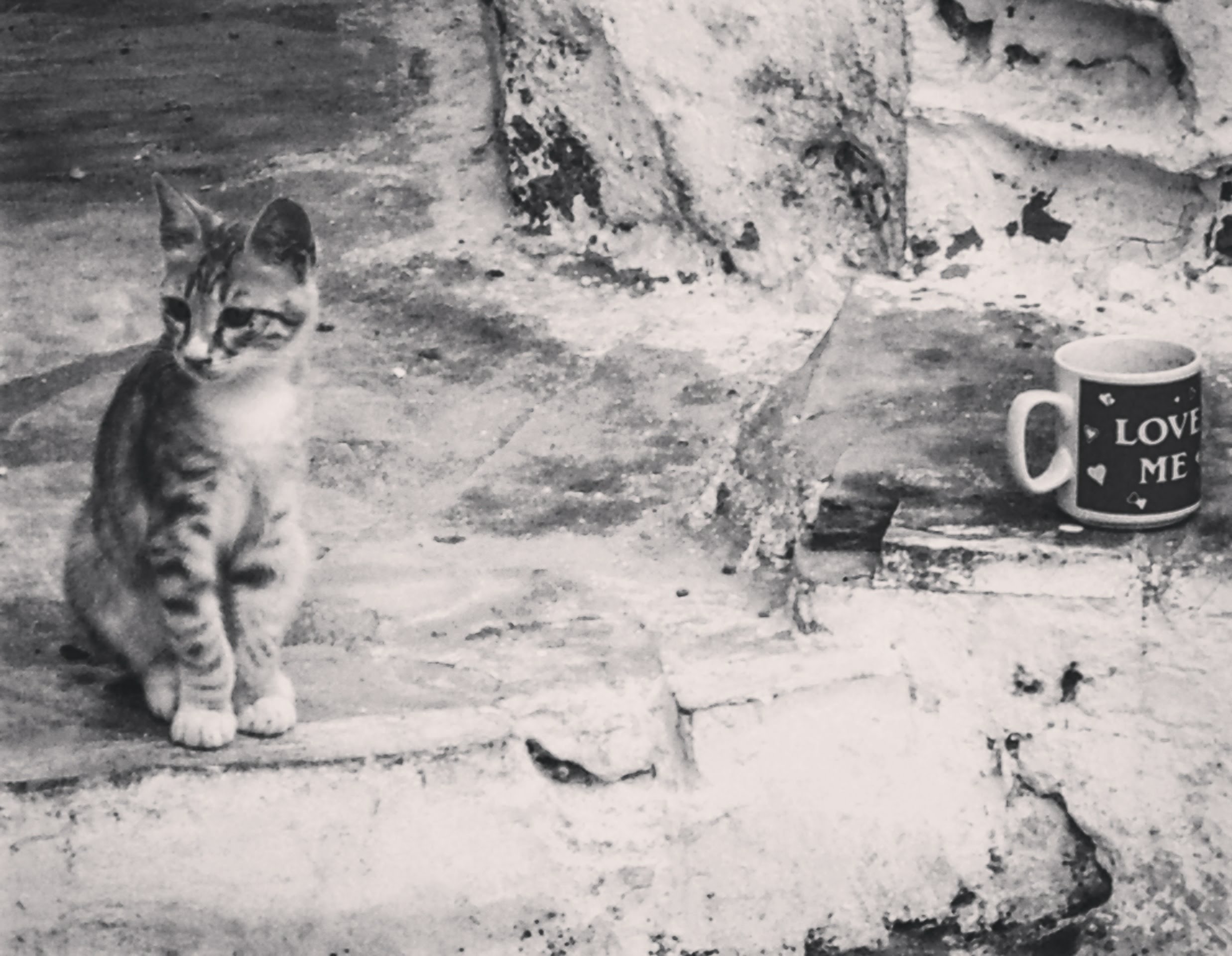 IMG_20171209_200431_654