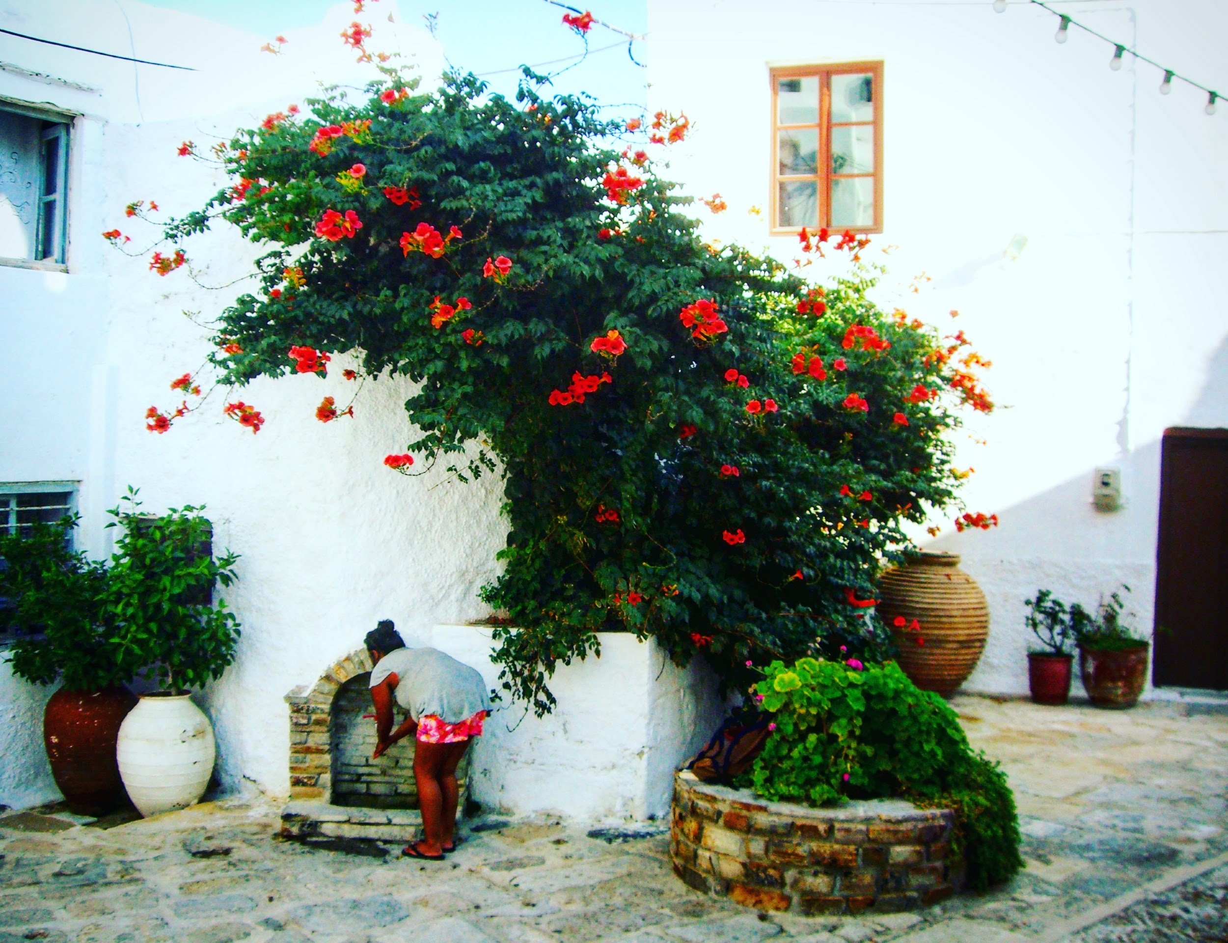 Santorini, les Cyclades, grosses jattes