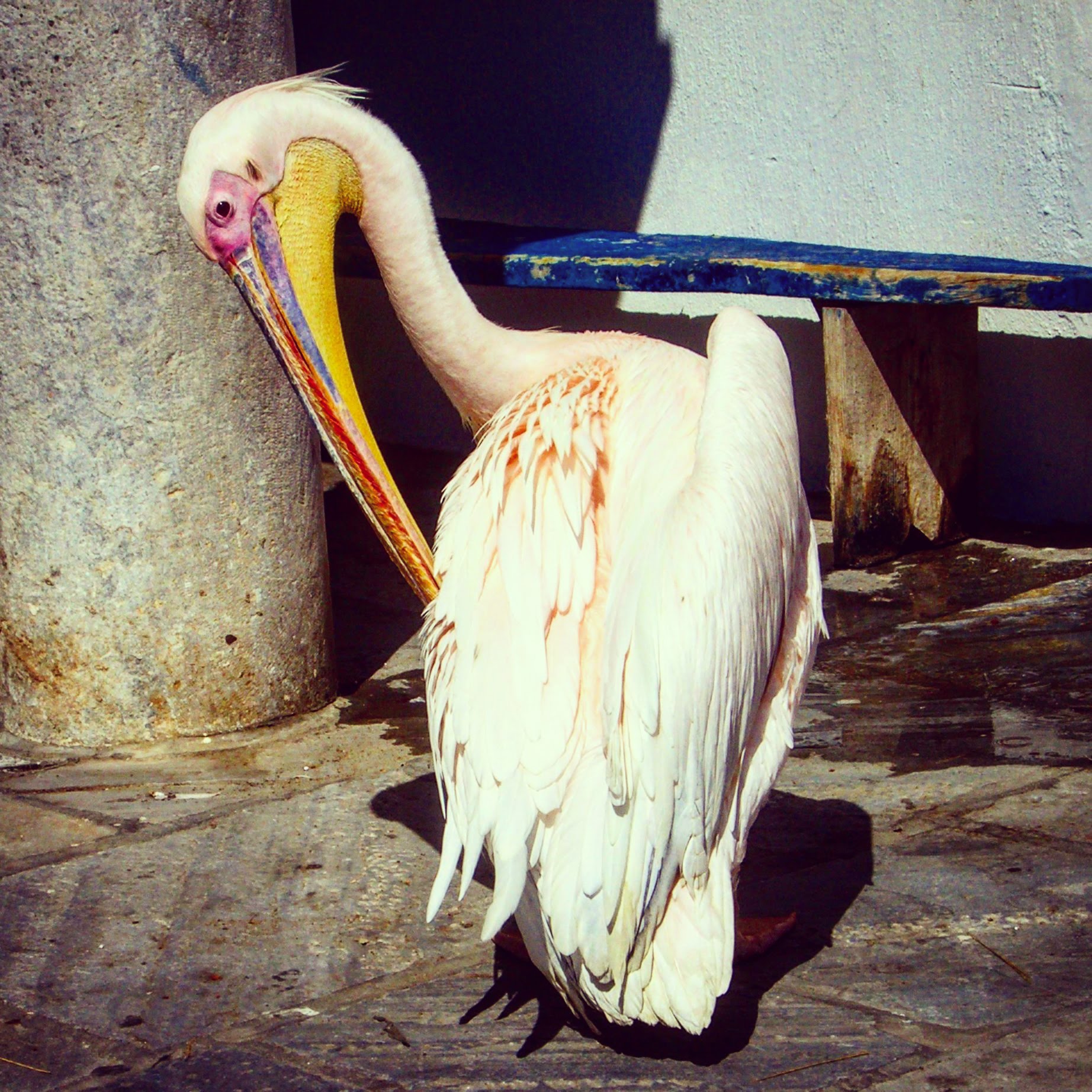 IMG_20171210_103606_992