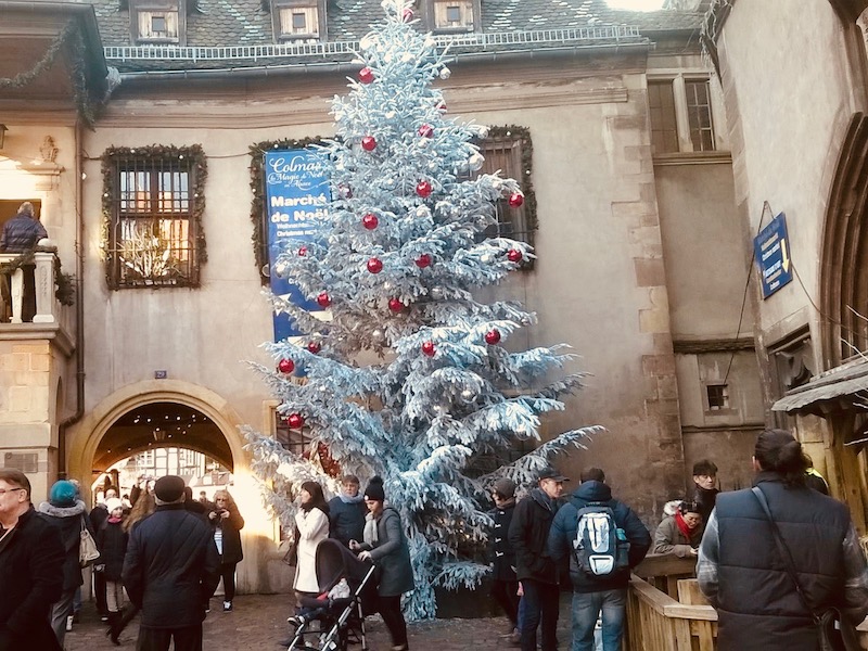 1496509_10153788969951240_2739649362943482171_o